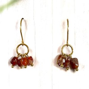Boucles-doreilles-cornaline